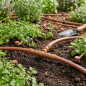 Drip irrigation 16mm brown