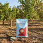 Concime Nitrofoska Speciale 25 Kg 12 + 12 + 17 + 2 | Consigliato dopo la potatura per alberi in fase di crescita