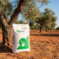 Fertilizante ENTEC Nitrofoska 20 + 10 + 10, 25 kg | Especialmente desenvolvido para oliveiras | Fertilizante com inibidor de nit