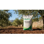 Concime Fertilizzante ENTEC Nitrofoska 20 + 10 + 10 da 25 Kg | Speciale per Ulivi | Concime con Inibitore della Nitrificazione