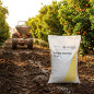Concime Sulfato Ammonico Nitrofoska 21% da 25kg | Concime per Colture | Ideale per Alberi da Frutto | Azione Immediata