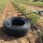 Self-compensating tube 16mm at 50cm separation by dripper, 100 meter black coil