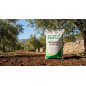 Concime Fertilizzante ENTEC Nitrofoska 20 + 10 + 10 da 1 Kg | Speciale per Ulivi | Concime con Inibitore della Nitrificazione