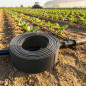 Tubo Flessibile per Irrigazione 6x8 mm. Condotto in PVC Flessibile Nero, 200 m, Raccomandato per Irrigazione a Goccia