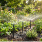 360º irrigation micro-sprinkler with stake.