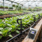 360° drehbarer Mikrosprinkler für Garten und Gemüsegarten | 50er-Packung | Sprühradius bis zu 2,8 m