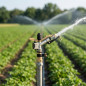 Canon d'irrigation ludique | Arroseur agricole réglable | Embouts femelles 1" | Canons d'irrigation de 12,5 à 19,5 m