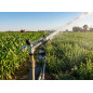 Arroseur Agricole 1 1/4'' Jolly métal. Angle d'irrigation 360º circulaire. Portée 17 à 29m. Arroseur à Impulsion, Canon