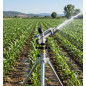 Agrar-Sprinkler 1 1/4'' Jolly Metall. Einstellbarer Bewässerungswinkel. Reichweite 17 bis 29 m. Impuls-Sprinkler, Bewässerungsro