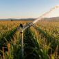 Canon d'irrigation K1 | Arroseur agricole circulaire à 360° | Embouts femelles 1 1/4" | Canons d'irrigation de 15 à 23 m