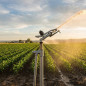 Canon d'irrigation K1 | Arroseur agricole circulaire à 360° | Embouts femelles 1 1/4" | Canons d'irrigation de 15 à 23 m