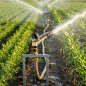Arroseur Agricole 1 1/4'' K1 métal. Angle d'irrigation réglable. Portée 15 à 23m. Arroseur à Impulsion, Canon d'irrigation