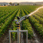 K1 Bewässerungskanone | Verstellbarer Landwirtschaftssprinkler | 1 1/4"-Innengewinde | Bewässerungskanonen 15 bis 23 m K1 Bewässerungskanone | Verstellbarer Landwirtschaftssprinkler | 1 1/4"-Innengewinde | Bewässerungskanonen 15 bis 23 m