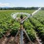 Irrigatore agricolo 1 1/2'' Ambo in metallo. Angolo di irrigazione circolare 360º. Portata da 16 a 29 m. Irrigatore a impulso