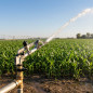 Cannone per irrigazione Senior | Irrigatore agricolo regolabile | Irrigatori femmina da 2" | Cannoni per irrigazione da 19 a 41 Cannone per irrigazione Senior | Irrigatore agricolo regolabile | Irrigatori femmina da 2" | Cannoni per irrigazione da 19 a 41