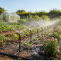 360º irrigation micro-sprinkler with stake.