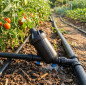 Filtro per irrigazione da 1" | Filtro a rete per tubo da 32 mm | Tappo di scarico incluso | Sistema di filtrazione per irrigazio Filtro per irrigazione da 1" | Filtro a rete per tubo da 32 mm | Tappo di scarico incluso | Sistema di filtrazione per irrigazio