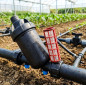 Filtro per irrigazione da 1" | Filtro a rete per tubo da 32 mm | Tappo di scarico incluso | Sistema di filtrazione per irrigazio Filtro per irrigazione da 1" | Filtro a rete per tubo da 32 mm | Tappo di scarico incluso | Sistema di filtrazione per irrigazio