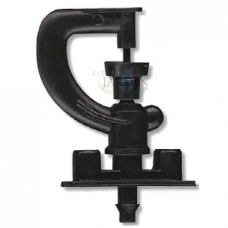 360as Ballerina Microasperor