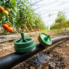 25 Stück Selbstregulierender Tropfer 8 Liter Netafim | Professionelle Tropfer für Bewässerungslinien | Tropfer für landwirtschaf