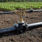 Pacote com 4 colares de irrigação de 75 mm x 1". Conexões para instalação de elementos de irrigação, como aspersores, difusores