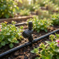Pack of 50 360° Micro Irrigation Diffusers, 0-3m Range | Garden Irrigation Diffuser | Garden Sprinkler