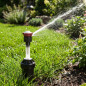 Buse pour diffuseurs d'arrosage Rain Bird RVAN24 réglable 45º à 270º, portée de 5,2 à 7,3 m
