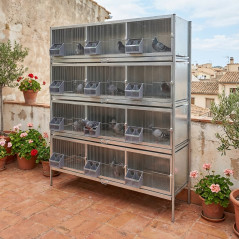 Pelechero con 12 Compartimentos con Comederos, 165x56x205 cm - Para Palomas y Aves