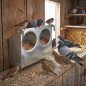 Mangeoire Pliable pour Pigeons, Oiseaux et Perdrix 2 départements, 13x7,5x10 cm