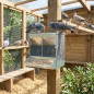Pigeon feeder with viewer