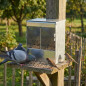 Mangeoire à Pigeons Bol d'alimentation pour Oiseaux