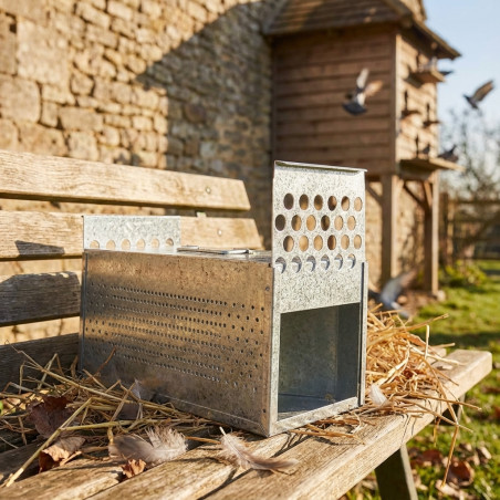 Cage de transport galvanisée 2 départements pour pigeons, oiseaux, 14x39x15 cm