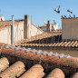 Protezione per punte anti-uccelli per tetti e coperture, 31x11x12 cm