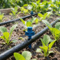 Irrigation micro-sprinkler 360º 1-1.2 mts.