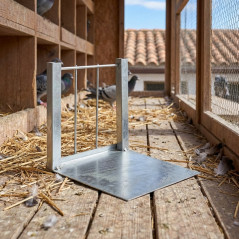 Porte Piège Pigeons et Oiseaux, 18,5x19x26 cm