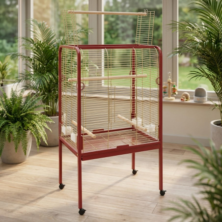 Dublin model parrot straight aviary 54x54x150 cm