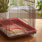 Grillage Sol de Gage pour Oiseaux 16x11 cm