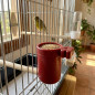 Comedero para Jaulas de Pájaros 2,3x3 cm - Alimentador para Aves en Jaula