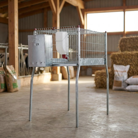 Gaiola para coelho em arame galvanizado reforçado com funil de três orifícios e pés, 55x108x101 cm