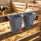 Calves bucket.