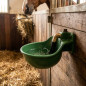 Abreuvoir en Fonte en plastique avec Poussoir pour Cheval 10 L, 22x28x18 cm, vert