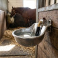 Abreuvoir en Fonte en metal avec Poussoir pour Cheval 10 L, 22x28x18 cm