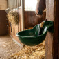 Abreuvoir en Fonte en metal avec Poussoir pour Cheval 10 L, 22x28x18 cm, vert