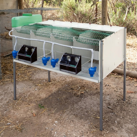 Gabbia per pernici, 4 scomparti, 107x77x97 cm - Gabbia per riproduzione per pernici