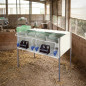 Gabbia per pernici, 4 scomparti, 107x77x97 cm - Gabbia per riproduzione per pernici