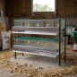 Gaiola galvanizada para pássaros com 8 compartimentos, com comedouros e bebedouros, 105x47x90 cm Gaiola galvanizada para pássaros com 8 compartimentos, com comedouros e bebedouros, 105x47x90 cm