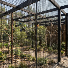 Filet pour parc à oiseaux, 2 m, vert