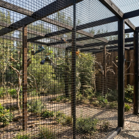 Rede para parque de voo de pássaros, 2 x 200 m, verde