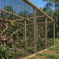 Filet pour parc à oiseaux, 2 m, vert