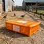 Gaiola de transporte de plástico 67x45x15 cm com porta frontal deslizante para gado e agricultura.